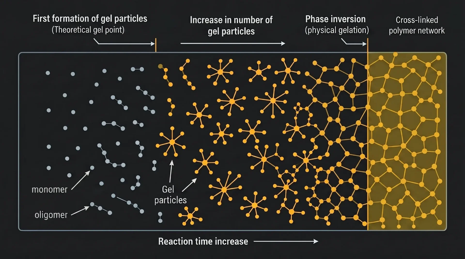 Crosslinking process — from monomers and oligomers to a fully crosslinked polymer network
